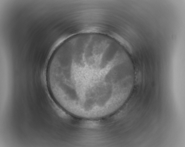 X0000113291086200909281007