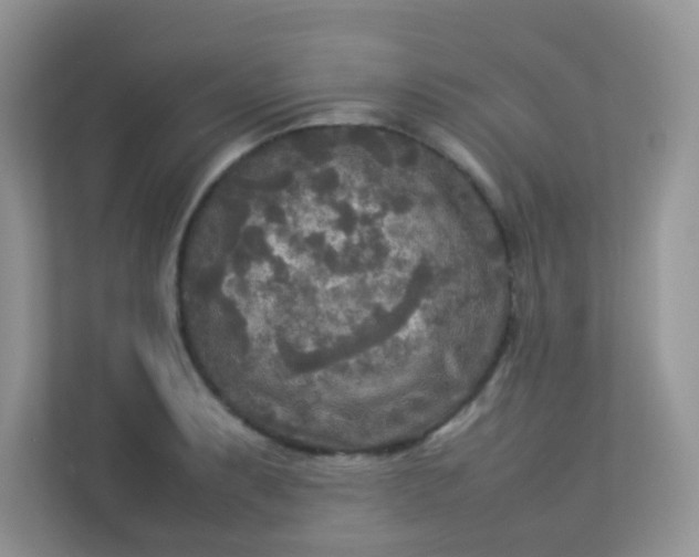 X0000113291087200909281007