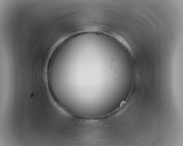 X0000113291088200909281007