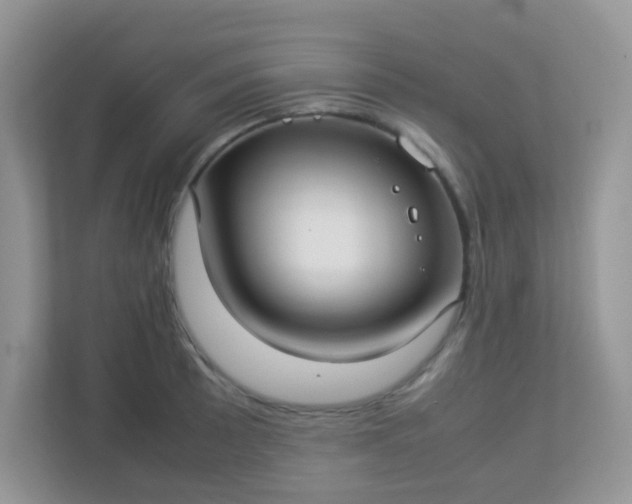 X0000113291089200909281007