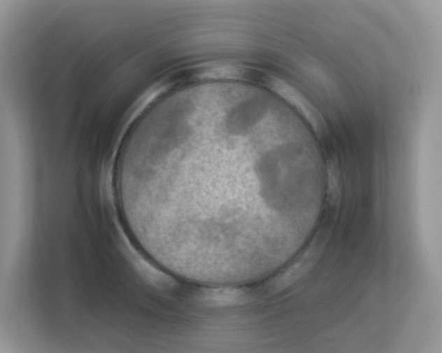 X0000113291090200909281007