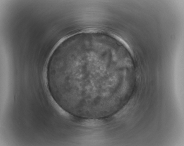 X0000113291091200909281007