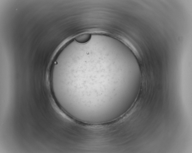 X0000113291092200909281007