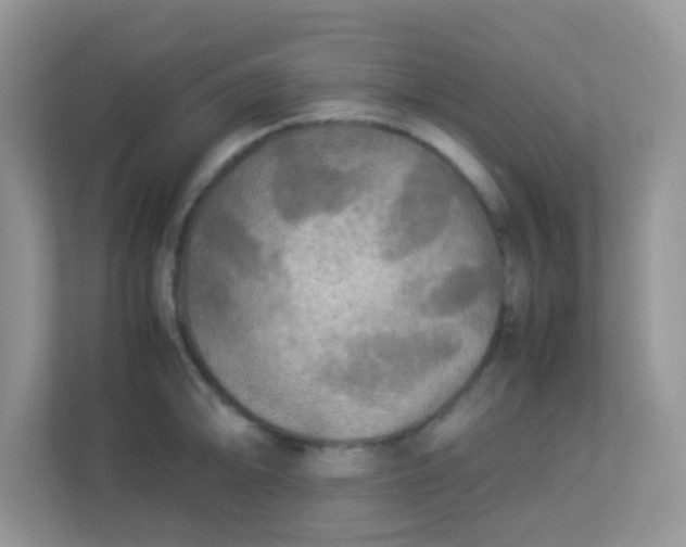 X0000113291094200909281007