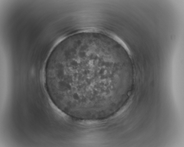 X0000113291095200909281007