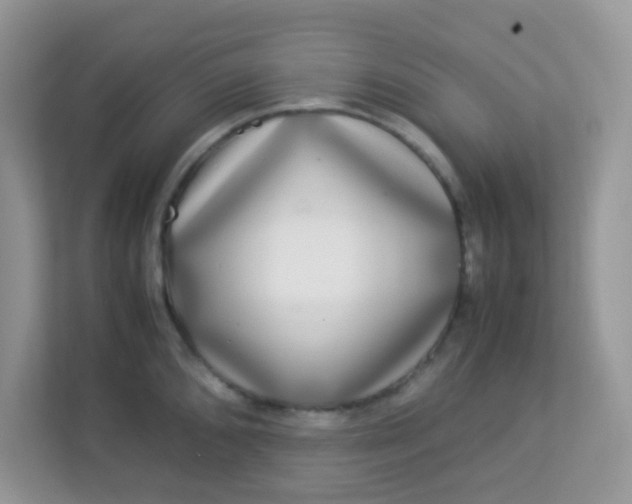 X0000113291096200909281007