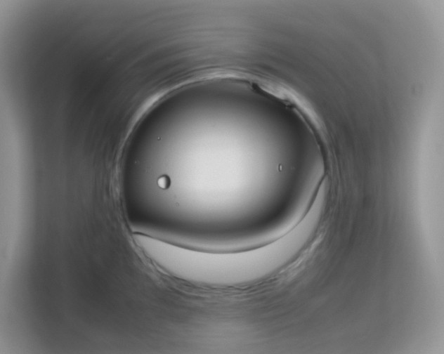 X0000113291097200909281007