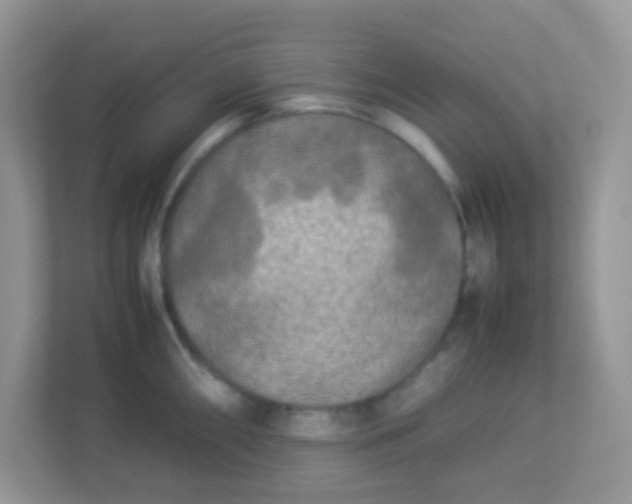 X0000113291098200909281007