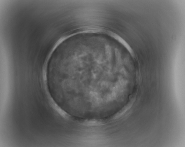 X0000113291099200909281007