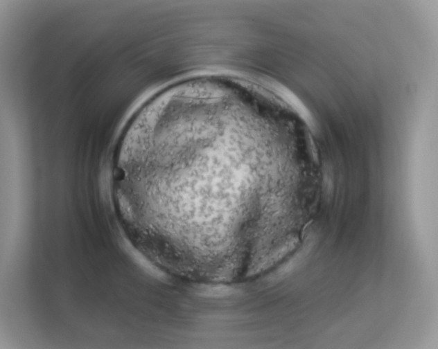 X0000113291100200909281007