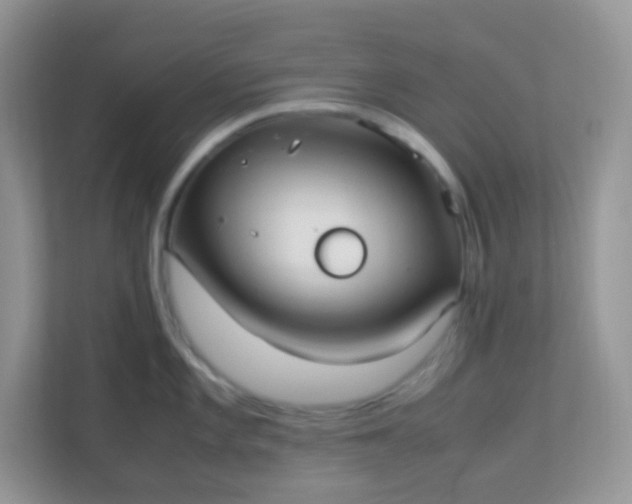 X0000113291101200909281007