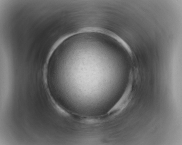 X0000113291102200909281007