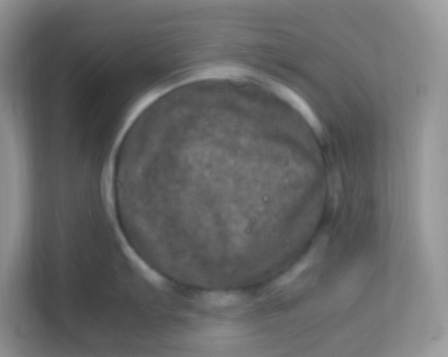 X0000113291103200909281007