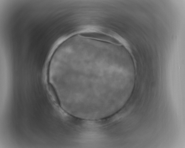 X0000113291104200909281007