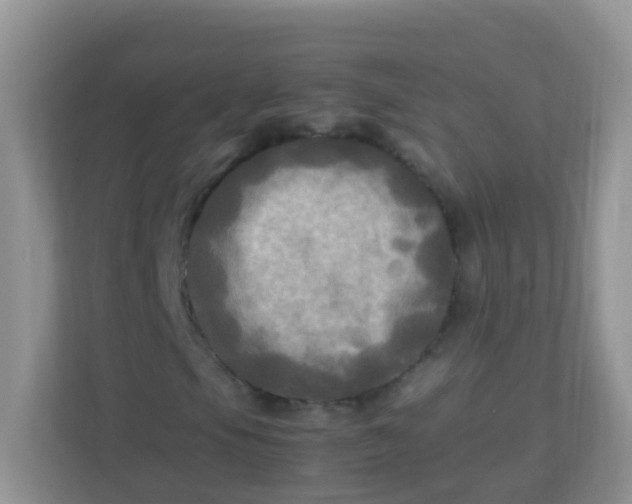 X0000113291105200909281006