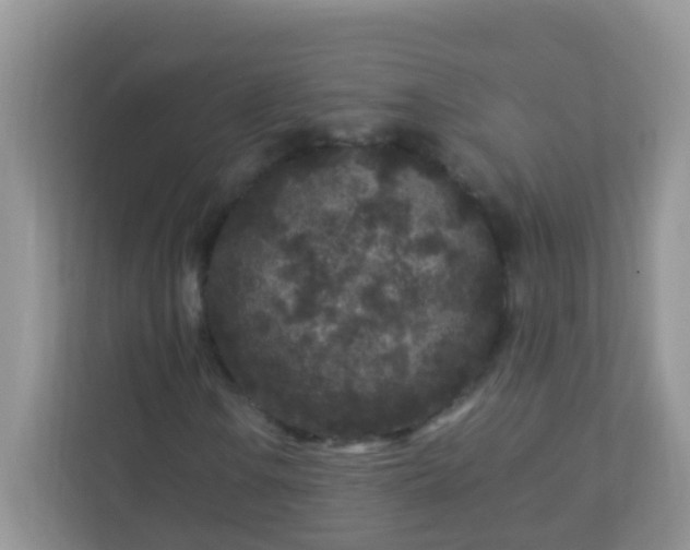 X0000113291106200909281006