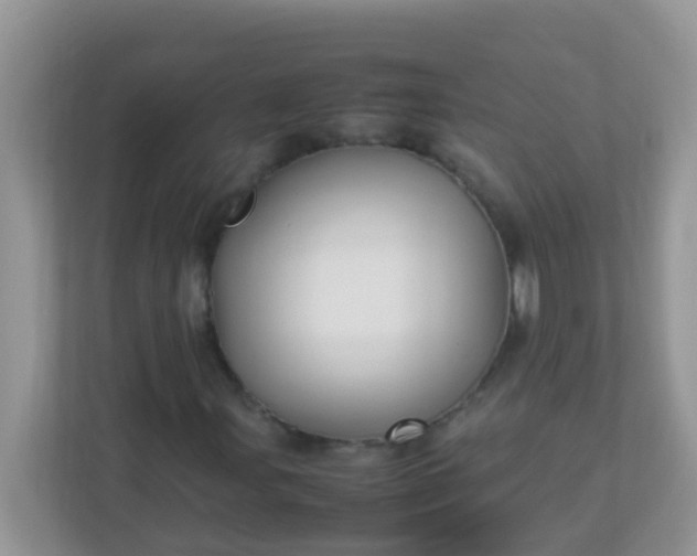 X0000113291107200909281006