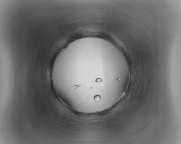 X0000113291108200909281006