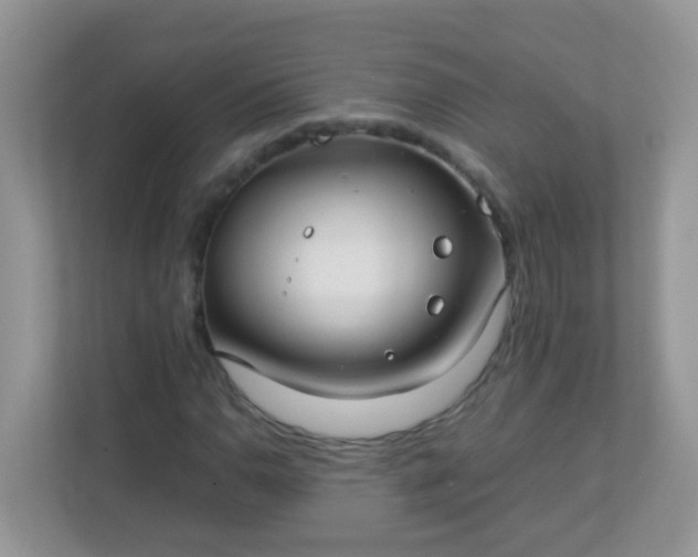 X0000113291110200909281006