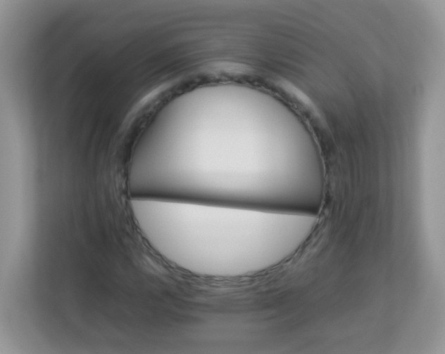 X0000113291112200909281006