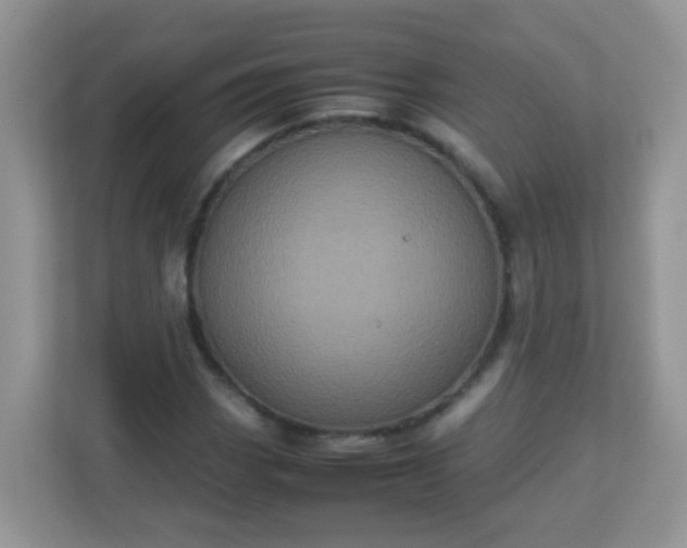 X0000113291113200909281006