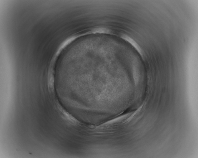 X0000113291115200909281006