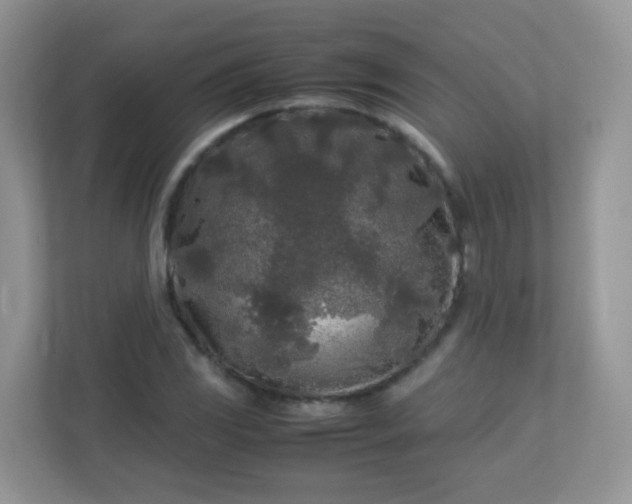 X0000113291117200909281006