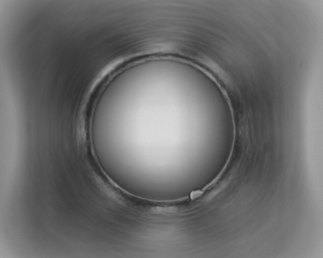 X0000113291118200909281006