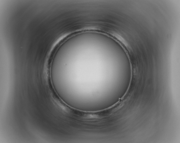 X0000113291119200909281006