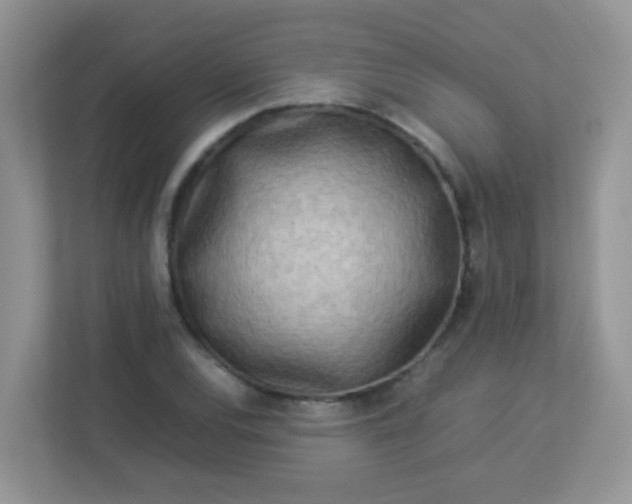 X0000113291120200909281006