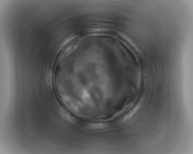 X0000113291121200909281006