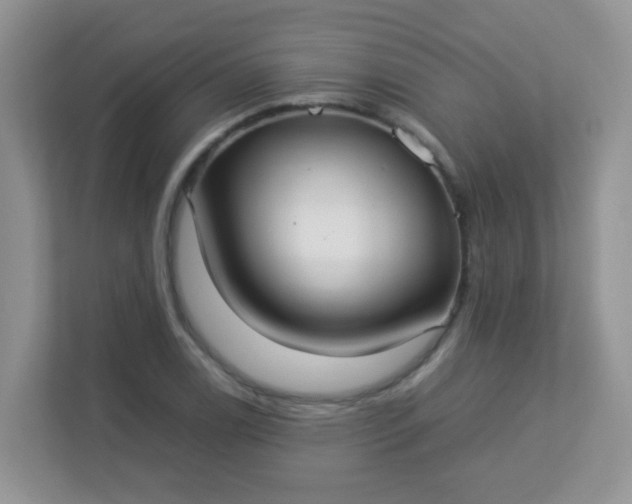 X0000113291122200909281006