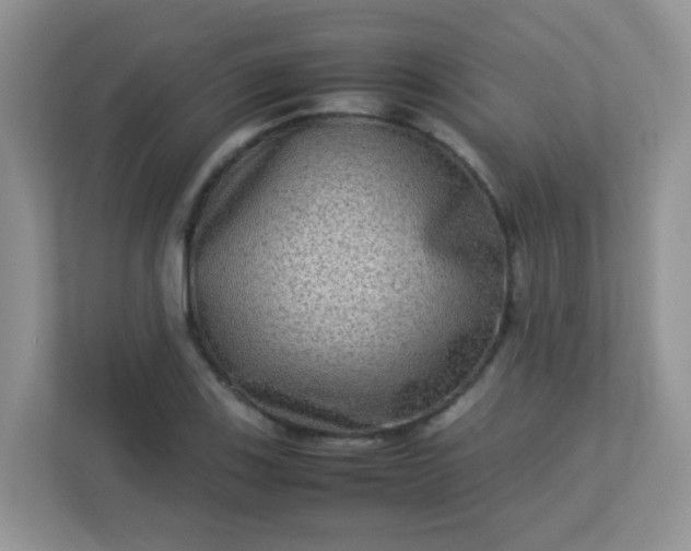 X0000113291123200909281006