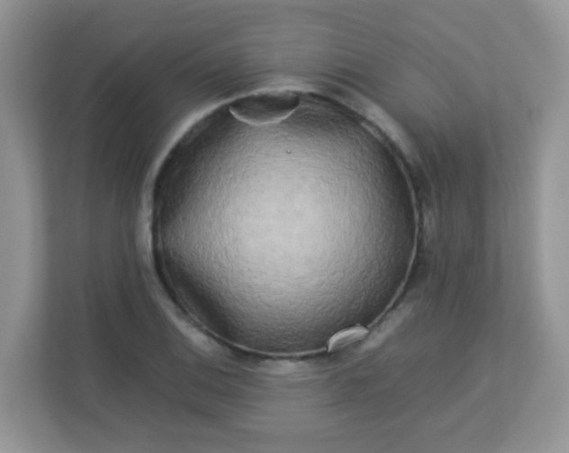 X0000113291124200909281006