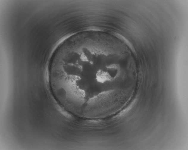 X0000113291125200909281006