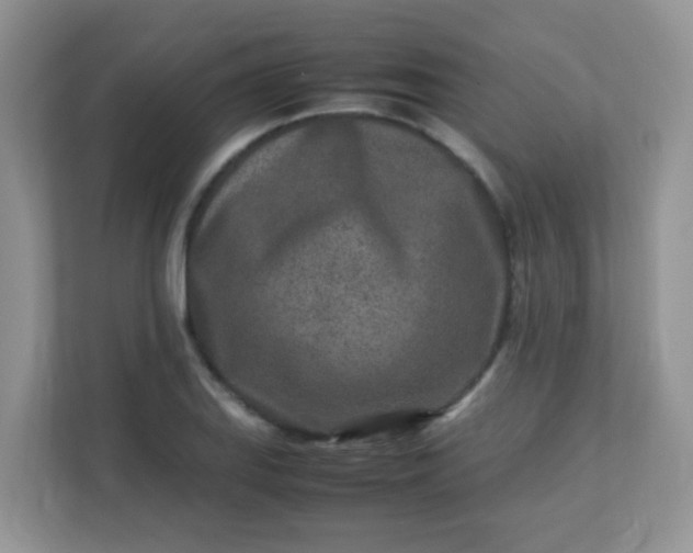 X0000113291127200909281007