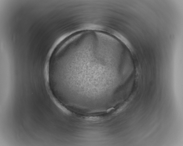 X0000113291128200909281007