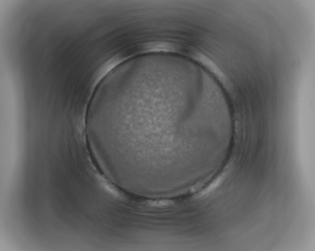 X0000113291129200909281007