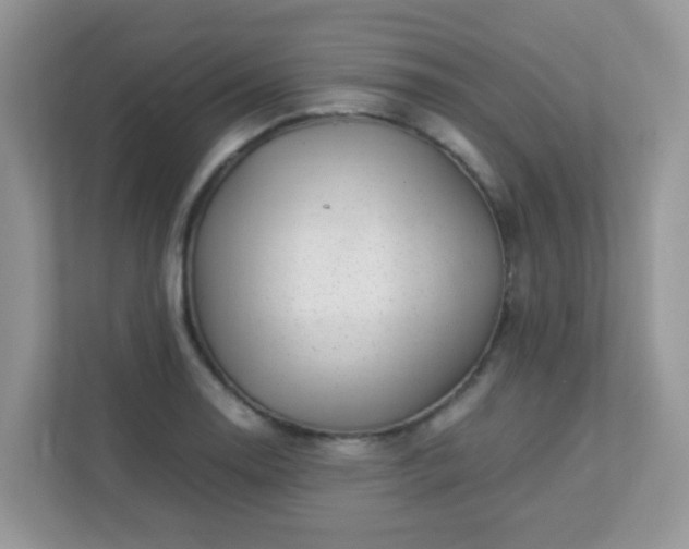 X0000113291130200909281007