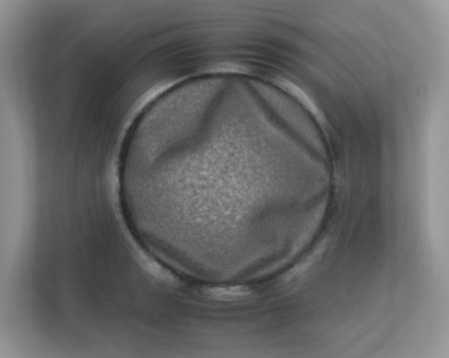 X0000113291133200909281007