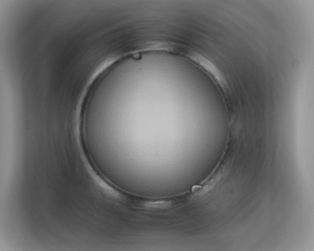 X0000113291135200909281007