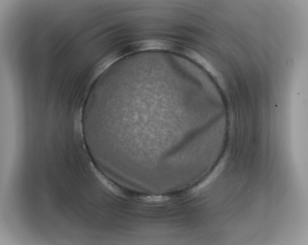 X0000113291137200909281007