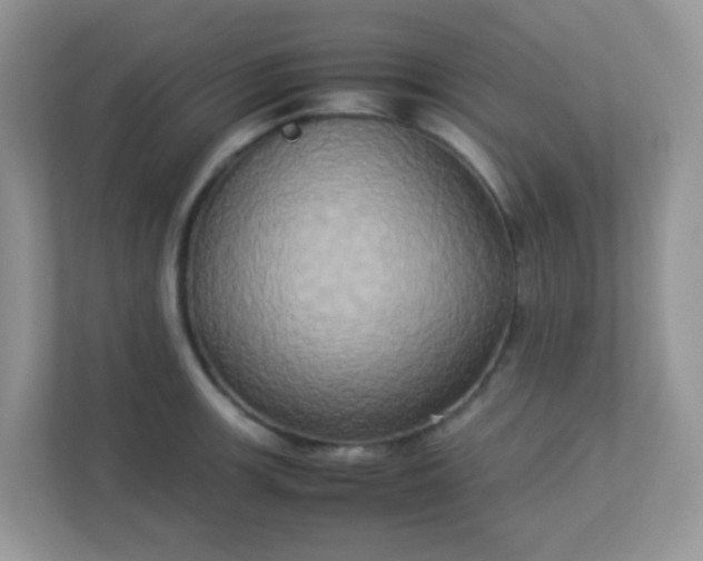 X0000113291139200909281007