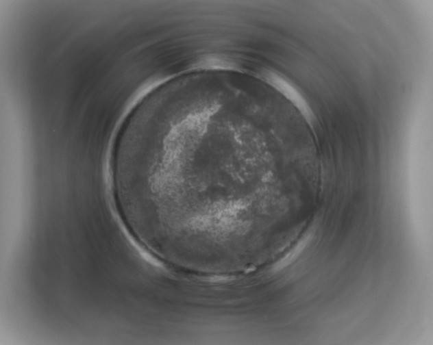 X0000113291141200909281007