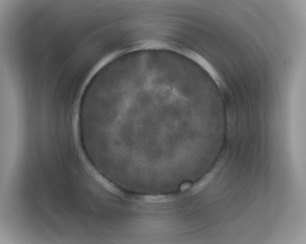 X0000113291142200909281007