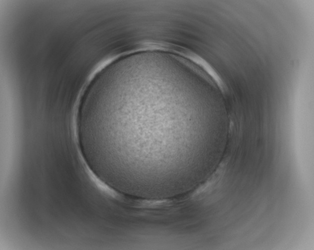 X0000113291143200909281007