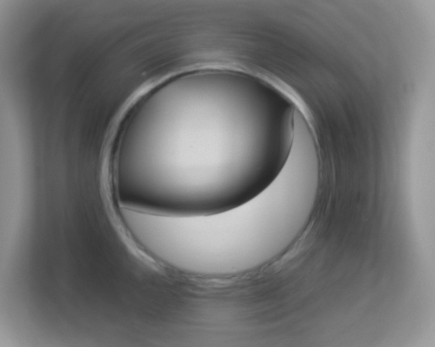 X0000113291144200909281007