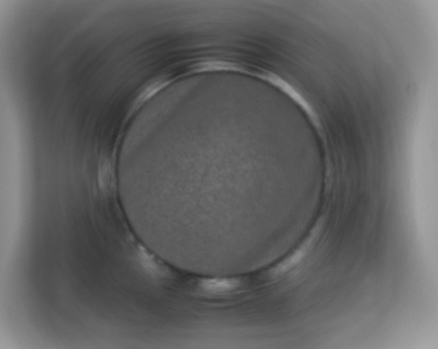 X0000113291145200909281007