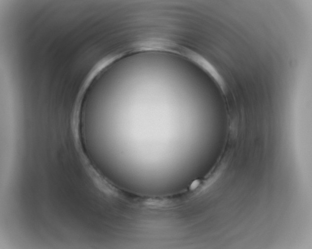 X0000113291146200909281007