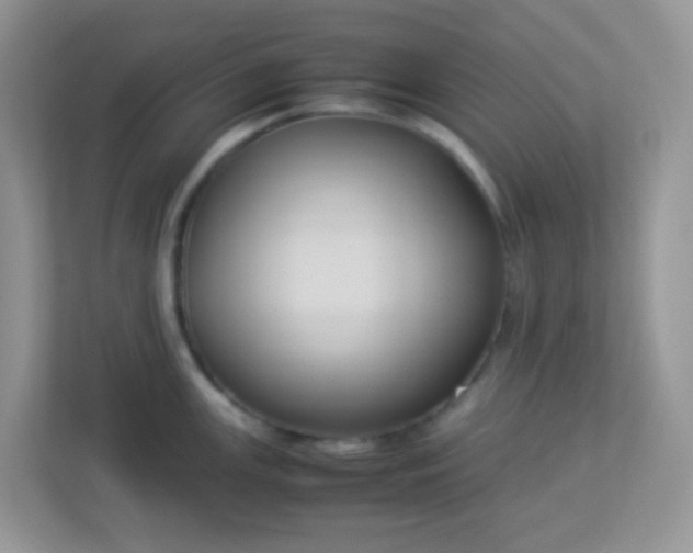 X0000113291147200909281007